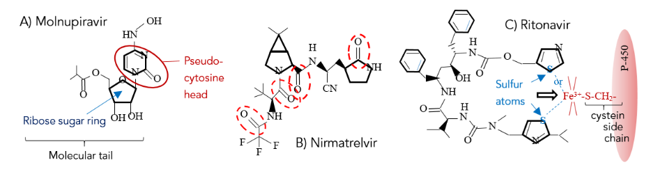 This image has an empty alt attribute; its file name is image-146.png