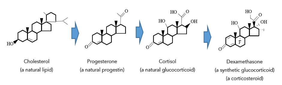 This image has an empty alt attribute; its file name is image-147.png