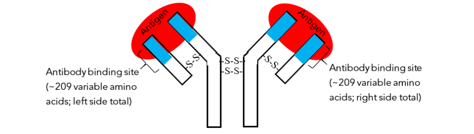 This image has an empty alt attribute; its file name is image-151.png