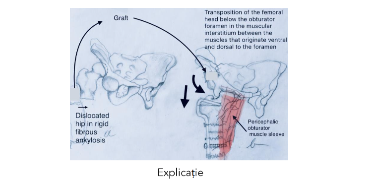 This image has an empty alt attribute; its file name is image-154.png