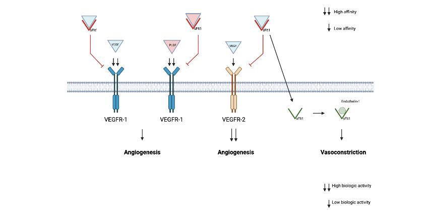 This image has an empty alt attribute; its file name is image-168.png