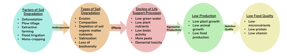 This image has an empty alt attribute; its file name is image-172.png