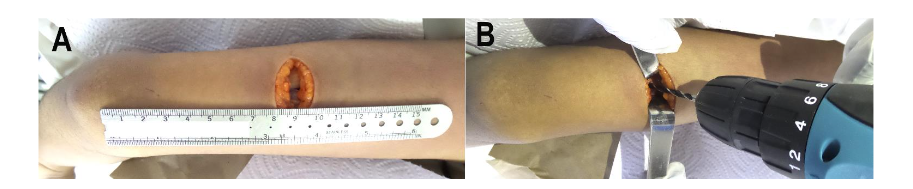 This image has an empty alt attribute; its file name is image-178.png