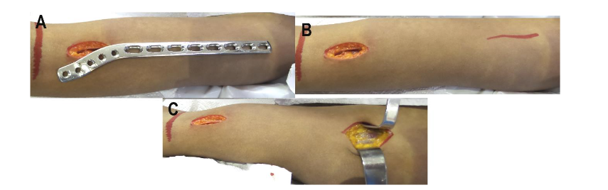 This image has an empty alt attribute; its file name is image-181.png