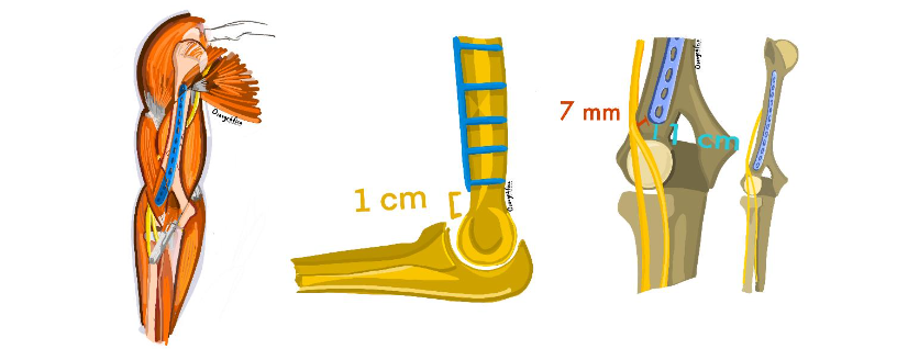 This image has an empty alt attribute; its file name is image-186.png