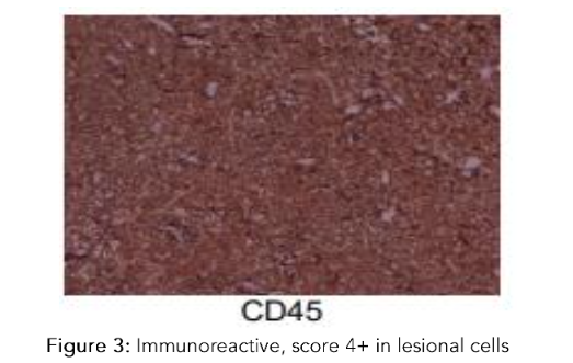 This image has an empty alt attribute; its file name is image-193.png