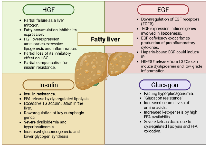 This image has an empty alt attribute; its file name is image-22.png