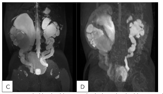 This image has an empty alt attribute; its file name is image-26.png