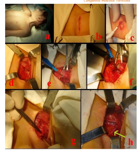 This image has an empty alt attribute; its file name is image-37.png