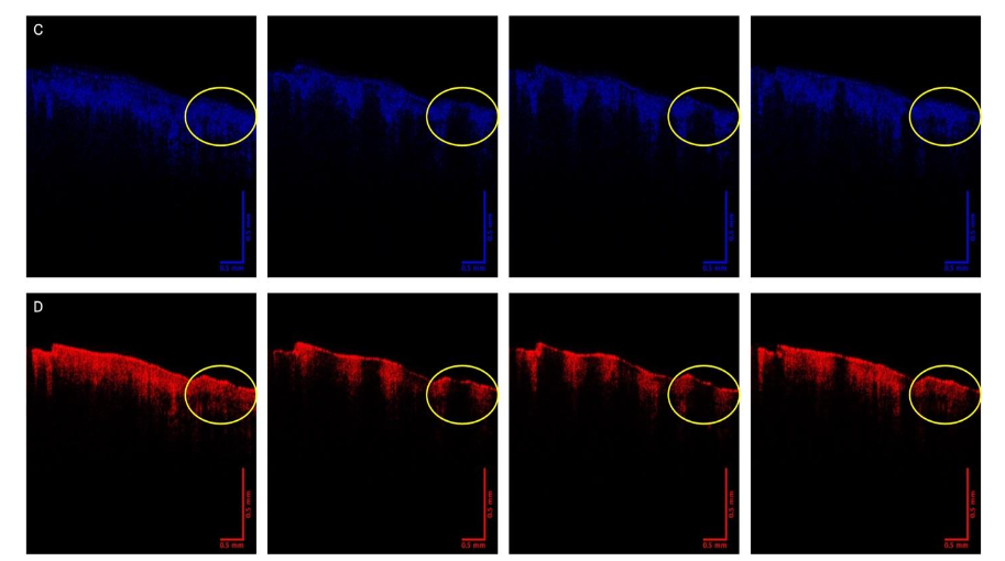 This image has an empty alt attribute; its file name is image-43.png