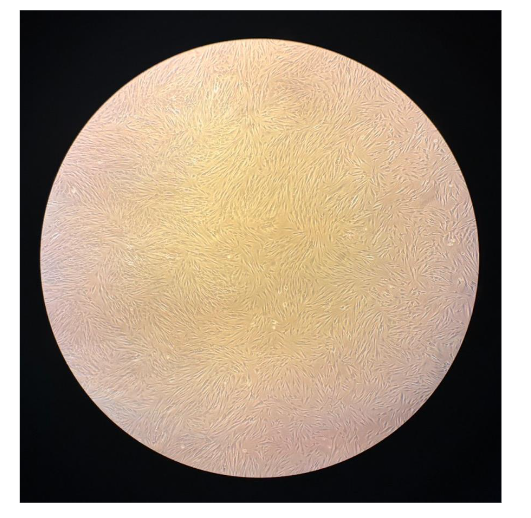 This image has an empty alt attribute; its file name is image-44.png