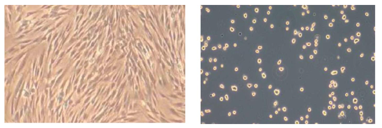 This image has an empty alt attribute; its file name is image-45.png