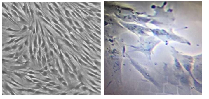 This image has an empty alt attribute; its file name is image-46.png