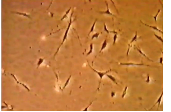 This image has an empty alt attribute; its file name is image-47.png