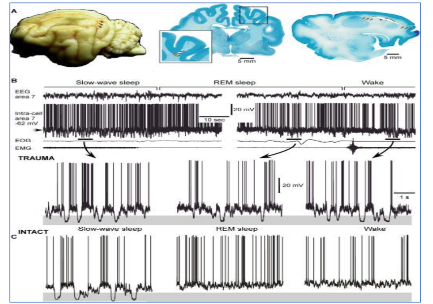 This image has an empty alt attribute; its file name is image-51.png