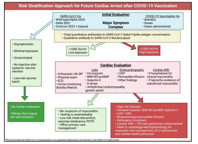 This image has an empty alt attribute; its file name is image-61.png