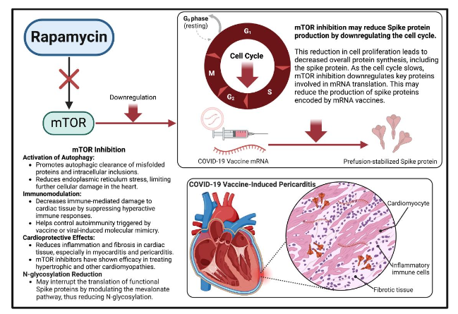 This image has an empty alt attribute; its file name is image-62.png