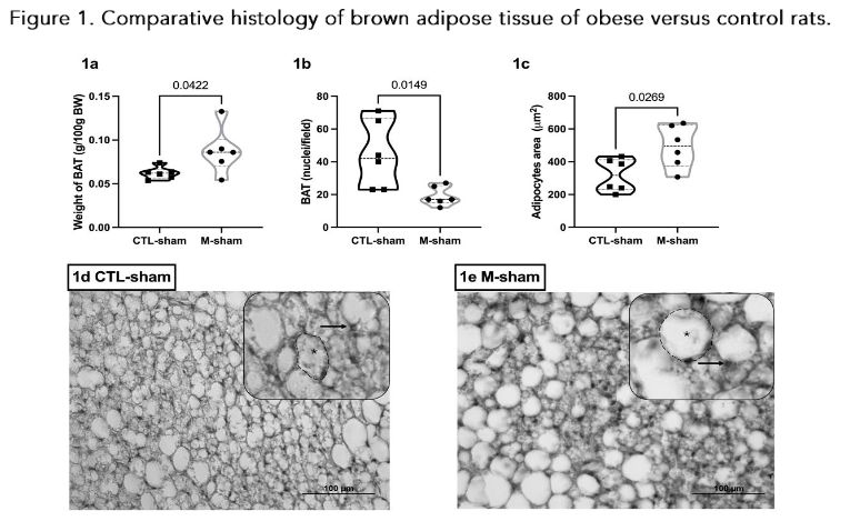 This image has an empty alt attribute; its file name is image-72.png