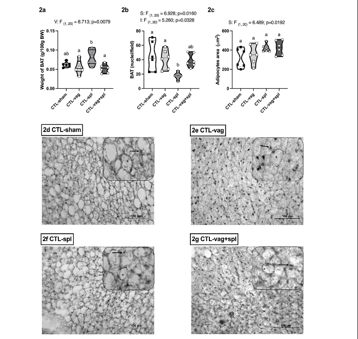 This image has an empty alt attribute; its file name is image-73.png