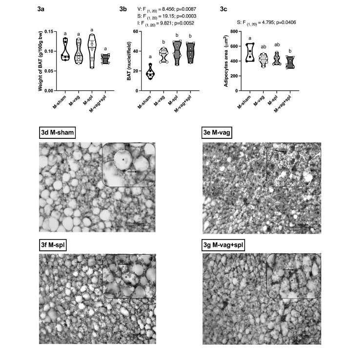 This image has an empty alt attribute; its file name is image-74.png