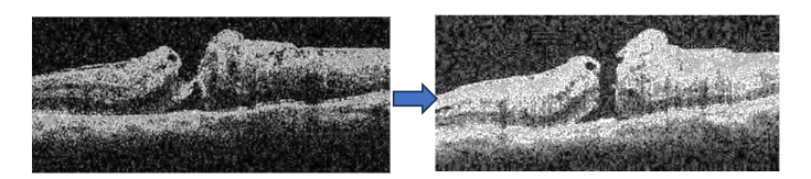 This image has an empty alt attribute; its file name is image-135.png