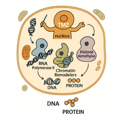 This image has an empty alt attribute; its file name is image-165.png