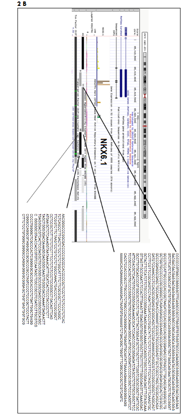 This image has an empty alt attribute; its file name is image-170.png