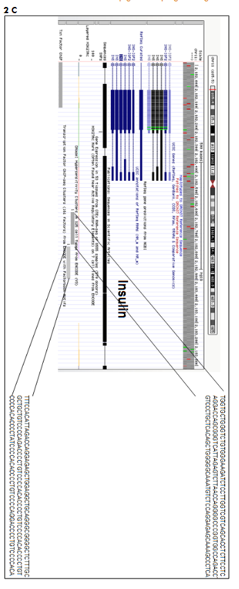 This image has an empty alt attribute; its file name is image-171.png