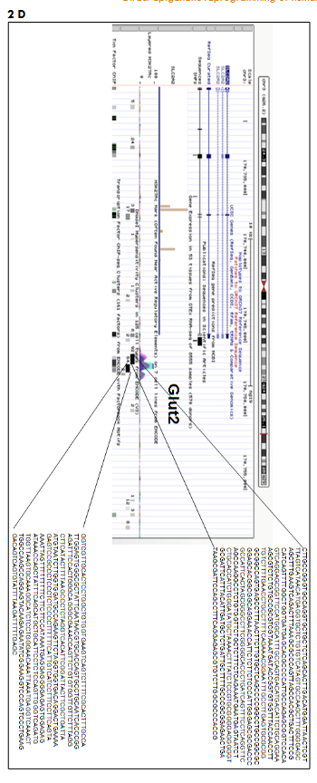 This image has an empty alt attribute; its file name is image-172.png