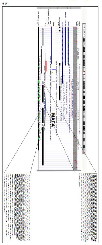 This image has an empty alt attribute; its file name is image-173.png