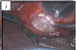 This image has an empty alt attribute; its file name is image-176.png