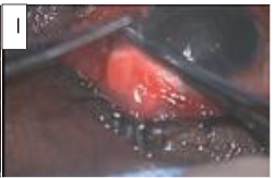 This image has an empty alt attribute; its file name is image-177.png