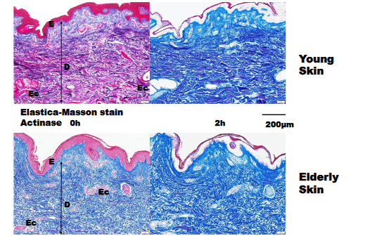 This image has an empty alt attribute; its file name is image-3.png