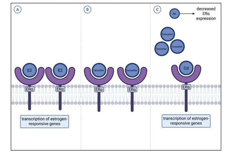 This image has an empty alt attribute; its file name is image-31.png