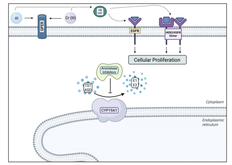 This image has an empty alt attribute; its file name is image-32.png