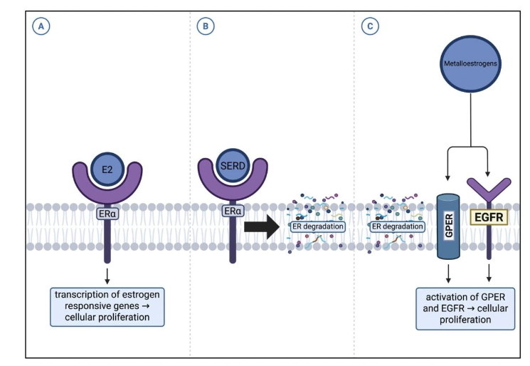 This image has an empty alt attribute; its file name is image-33.png