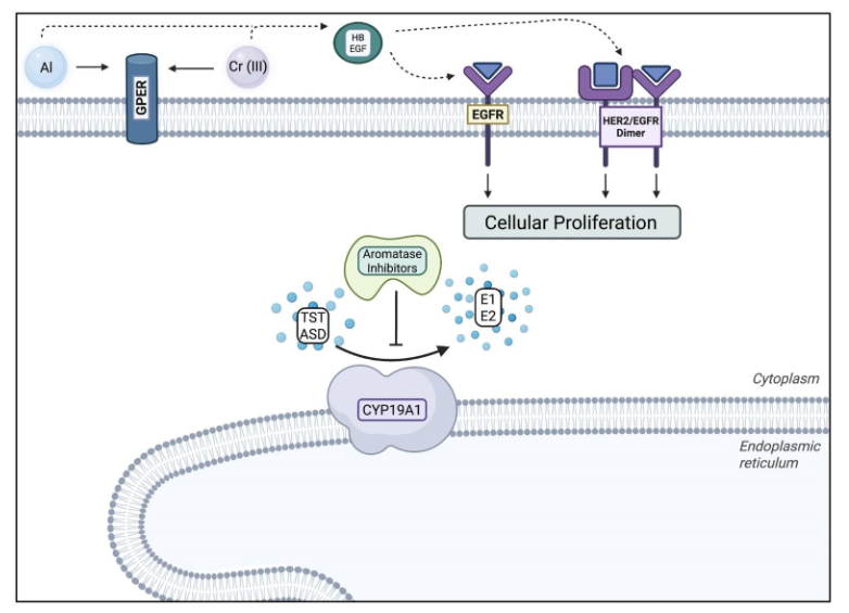 This image has an empty alt attribute; its file name is image-52.png