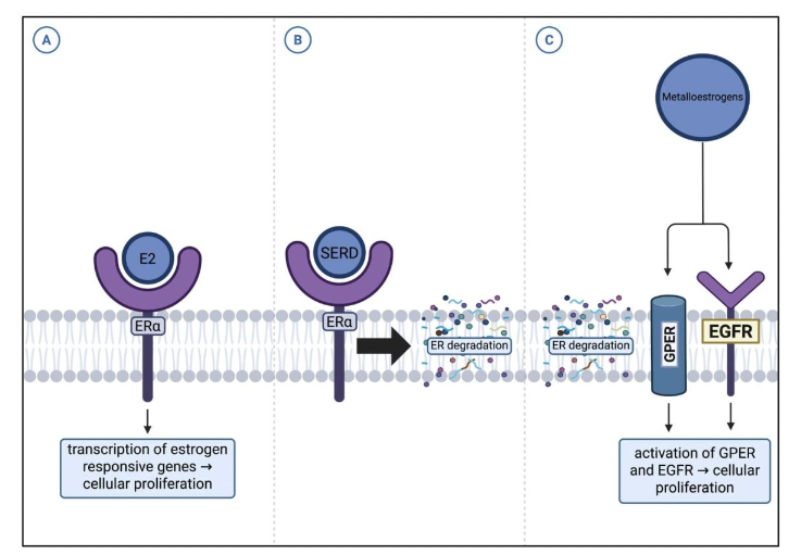 This image has an empty alt attribute; its file name is image-53.png