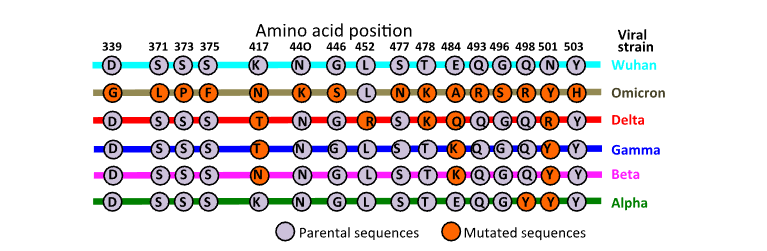 This image has an empty alt attribute; its file name is image-76.png