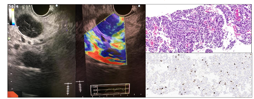 This image has an empty alt attribute; its file name is image-8.png