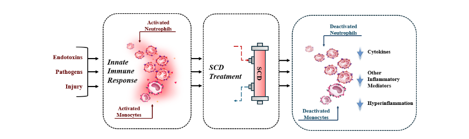 This image has an empty alt attribute; its file name is image-23.png