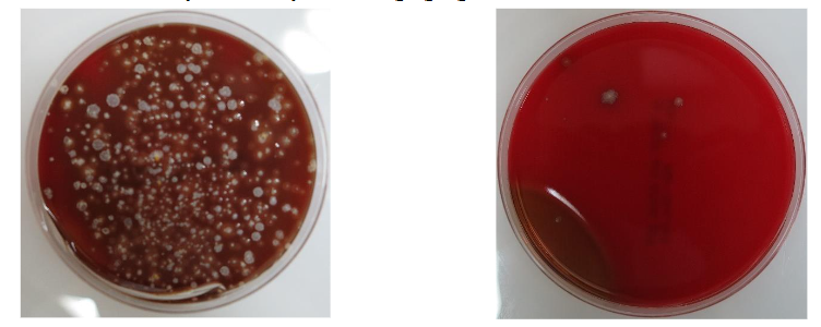 This image has an empty alt attribute; its file name is image-28.png