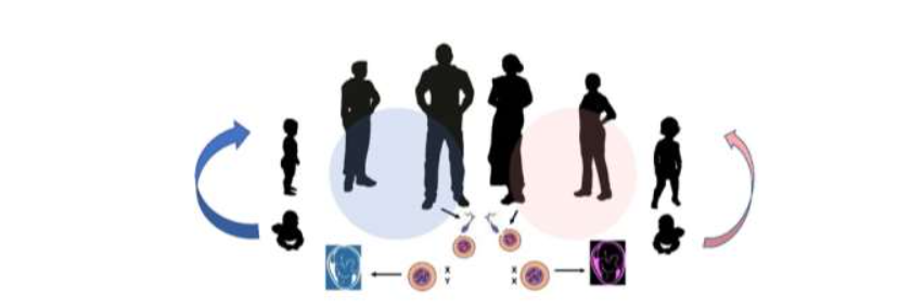 This image has an empty alt attribute; its file name is image-5.png