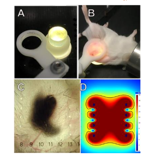 This image has an empty alt attribute; its file name is image-50.png