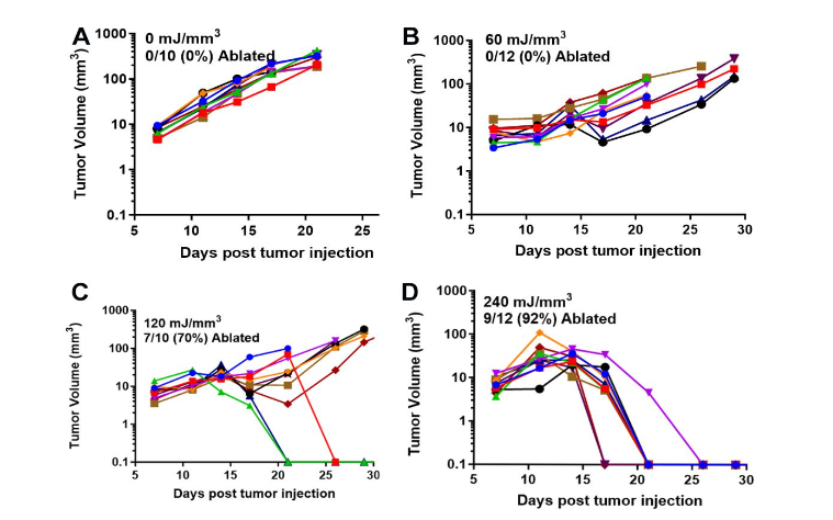 This image has an empty alt attribute; its file name is image-51.png