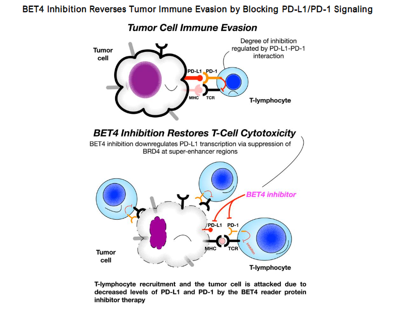 This image has an empty alt attribute; its file name is image-6.png