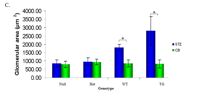 This image has an empty alt attribute; its file name is image-72.png