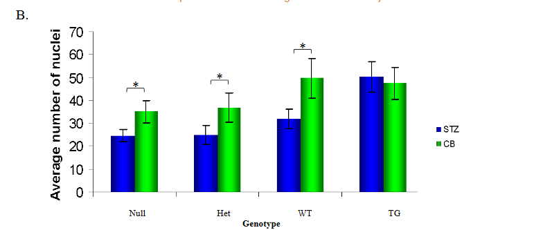 This image has an empty alt attribute; its file name is image-73.png