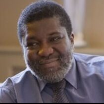 Professor Adewale Adebajo MBE