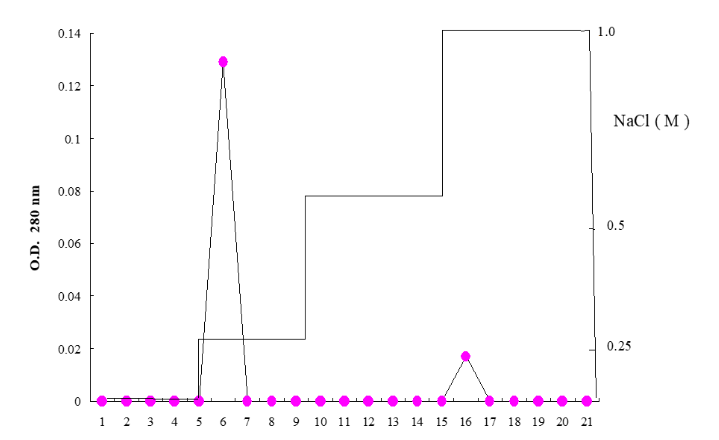 This image has an empty alt attribute; its file name is image-104.png